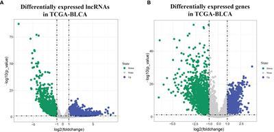 Construction of a Co-Expression Network for lncRNAs and mRNAs Related to Urothelial Carcinoma of the Bladder Progression